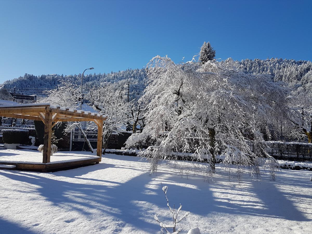 Le Castelet Hotel Le Mont-Dore Luaran gambar